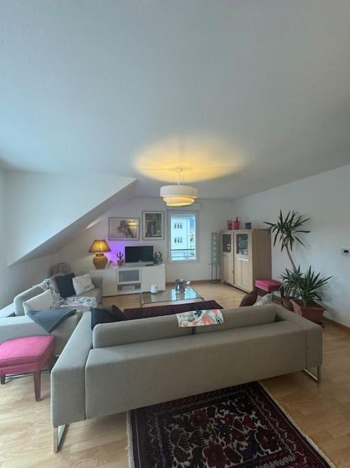Апартаменты A2 Pas De Colmar Terrasse,Parking Винтсенайм Экстерьер фото